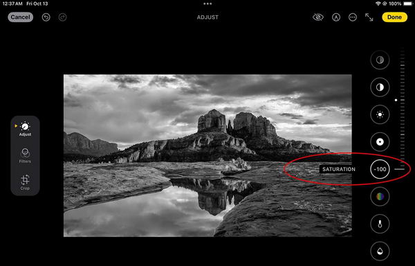 如何在 iPad 上将彩色照片变为黑白照片插图3
