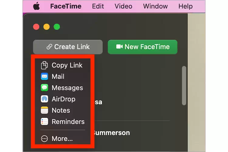 教程：如何使用 Windows 版 FaceTime插图3