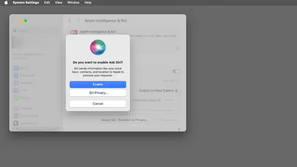 在 macOS 中打开 Siri 需要将您的通讯录和位置数据发送给 Apple